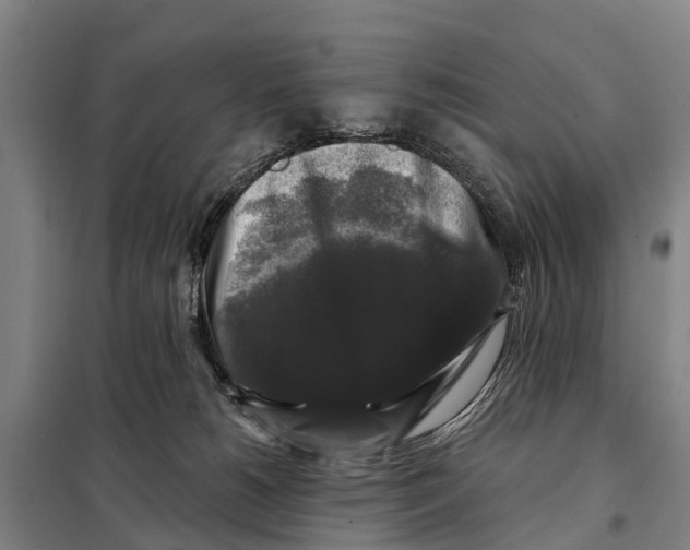 X0000097990180200804211114