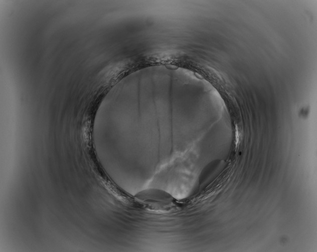 X0000097990181200804211114