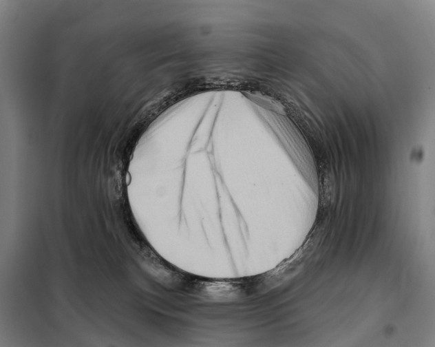 X0000097990183200804211114