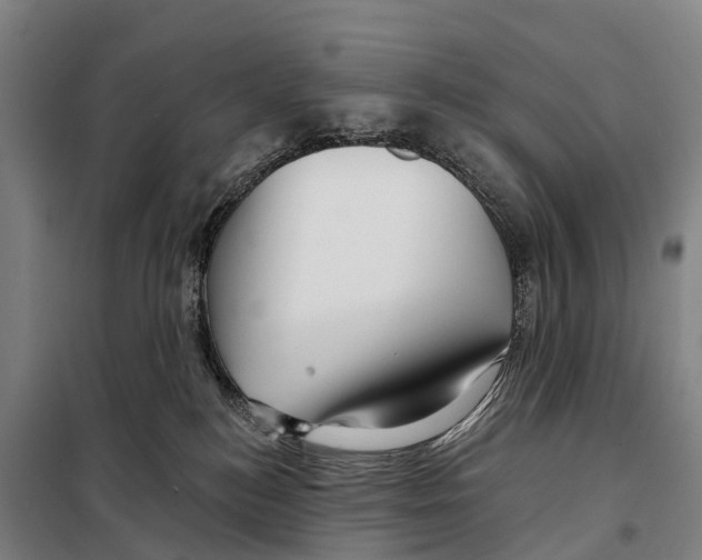 X0000097990184200804211114