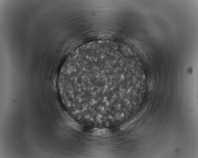 X0000097990185200804211114