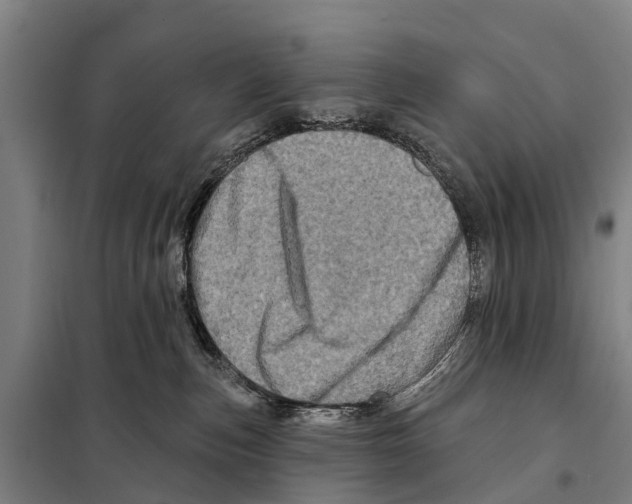 X0000097990187200804211114