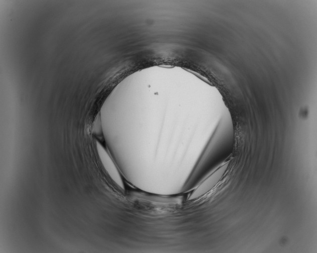 X0000097990188200804211114