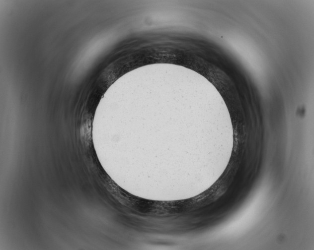 X0000097990190200804211114