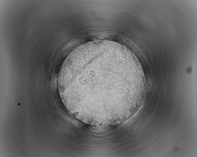 X0000097990191200804211114