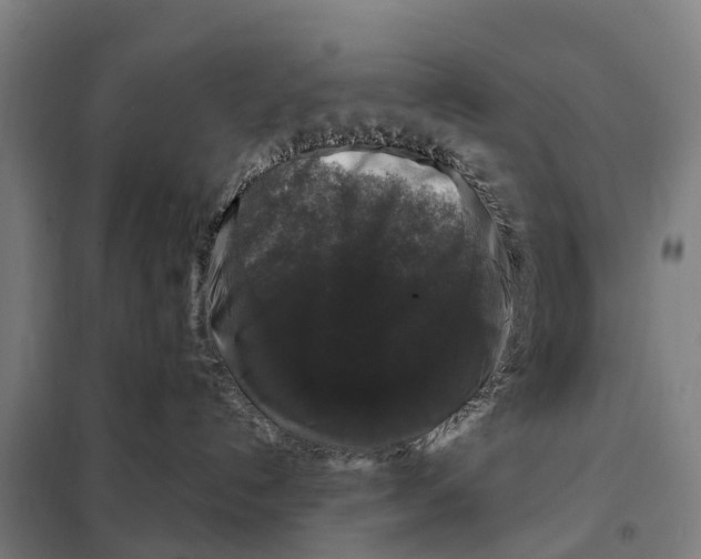 X0000097990192200804211114