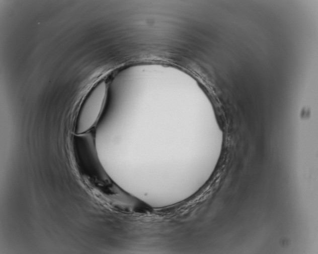X0000097990193200804211113