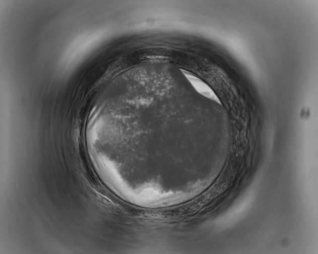 X0000097990194200804211113