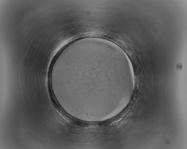 X0000097990196200804211113