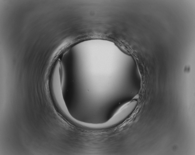 X0000097990197200804211113