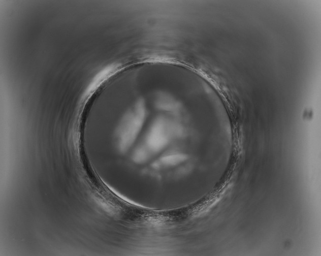 X0000097990199200804211113