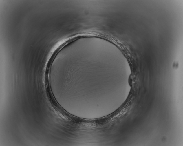 X0000097990200200804211113