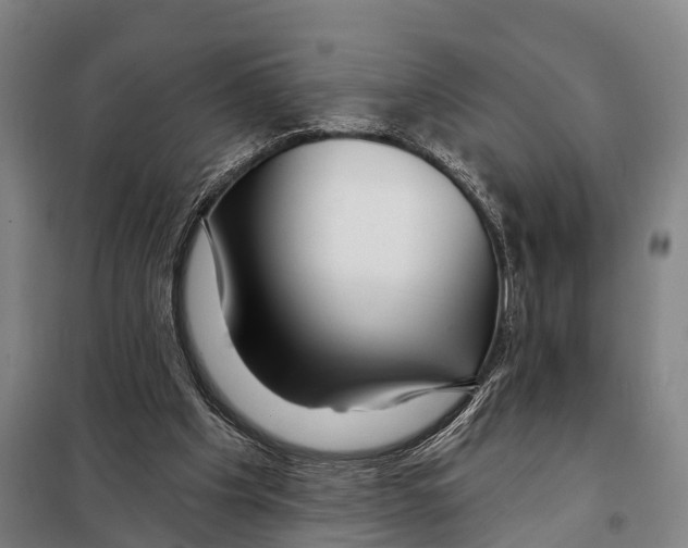 X0000097990201200804211113