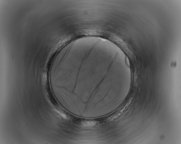 X0000097990202200804211113