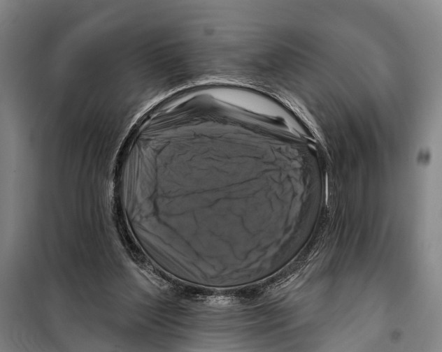 X0000097990204200804211113