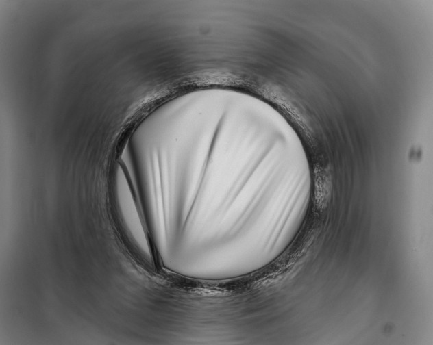 X0000097990207200804211113