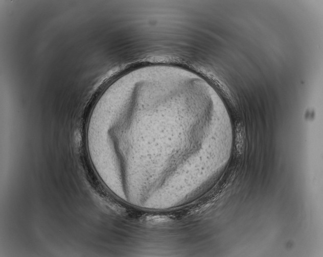 X0000097990208200804211113