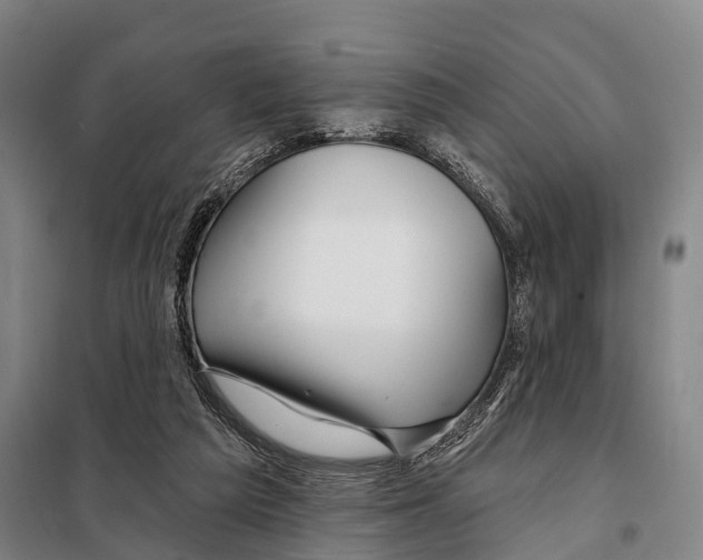 X0000097990209200804211113