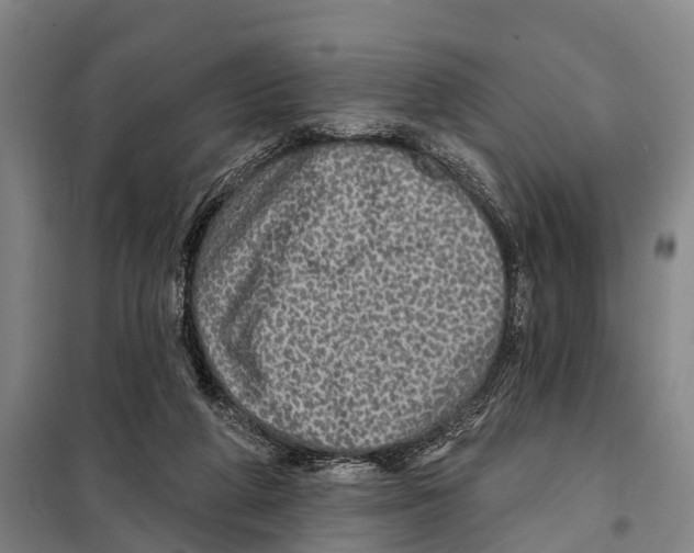 X0000097990210200804211113