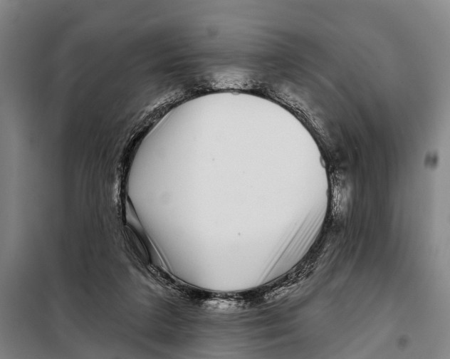 X0000097990211200804211113