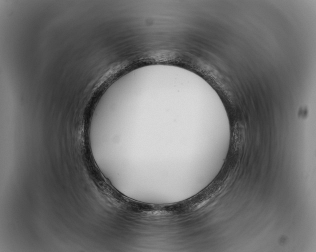 X0000097990212200804211113