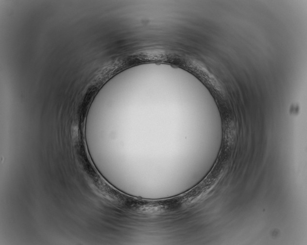 X0000097990213200804211113