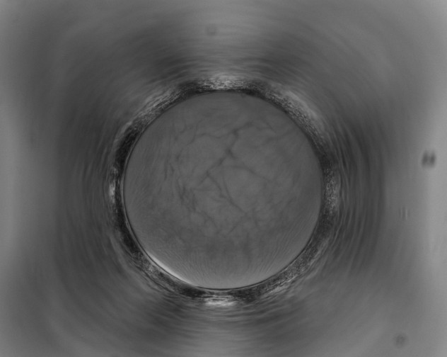 X0000097990214200804211113