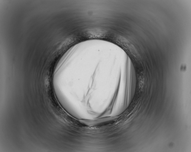 X0000097990215200804211113