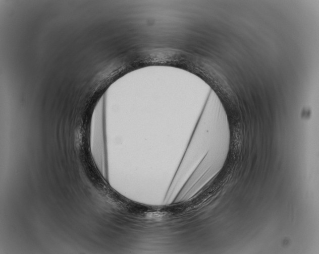 X0000097990216200804211113