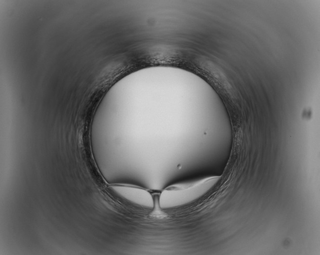 X0000097990217200804211113