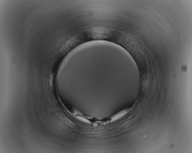 X0000097990219200804211113