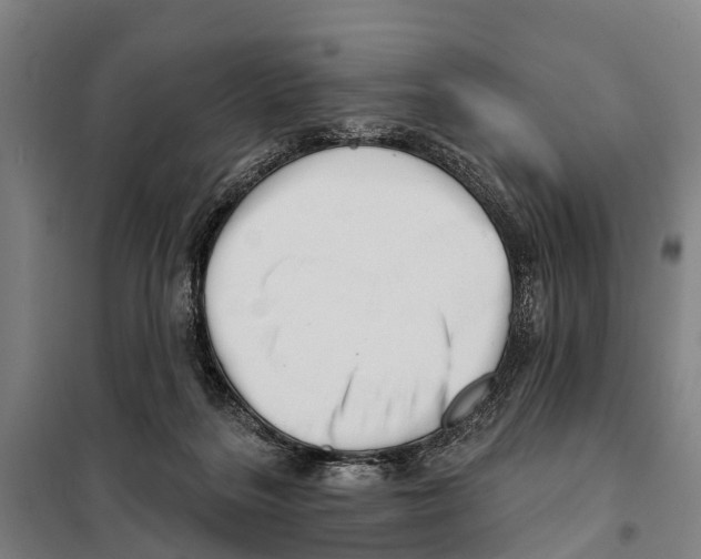 X0000097990220200804211113