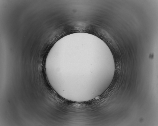 X0000097990221200804211113