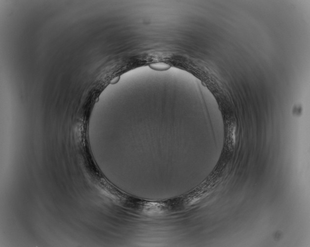 X0000097990222200804211113
