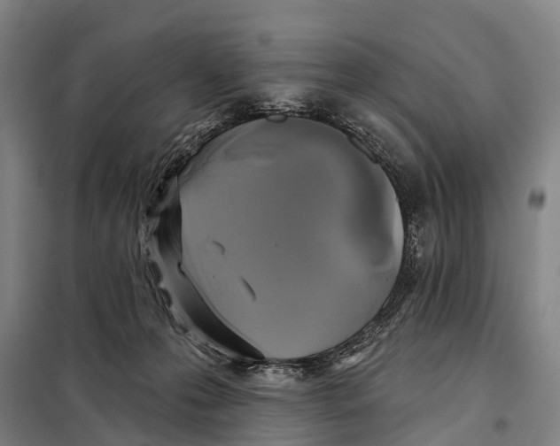X0000097990223200804211113