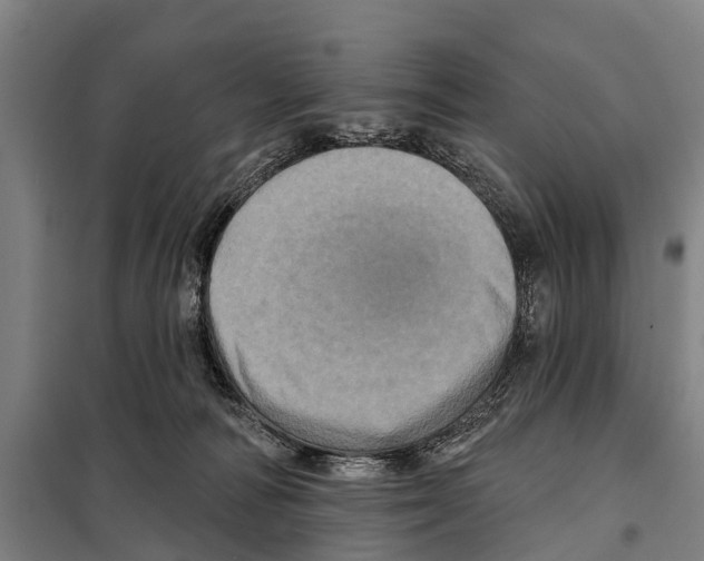 X0000097990226200804211113