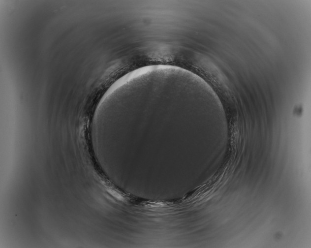 X0000097990229200804211112