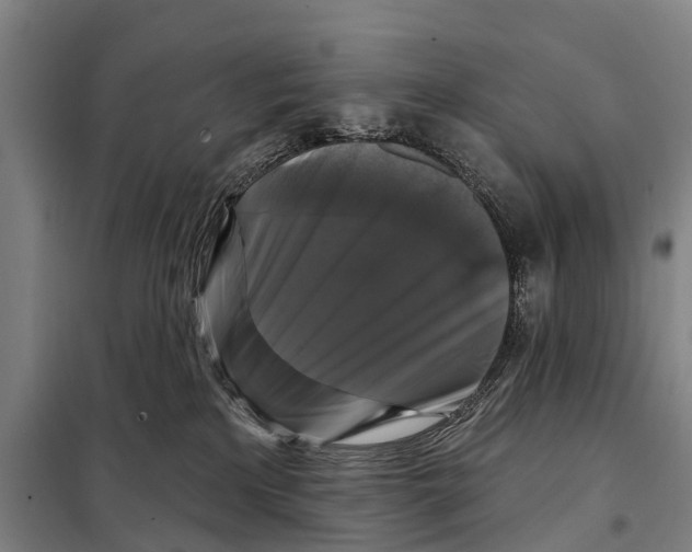 X0000097990233200804211112