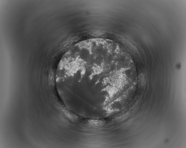 X0000097990234200804211112