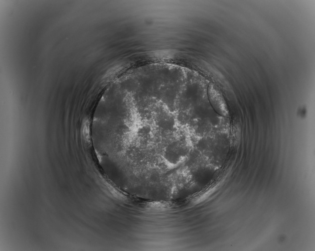 X0000097990238200804211112