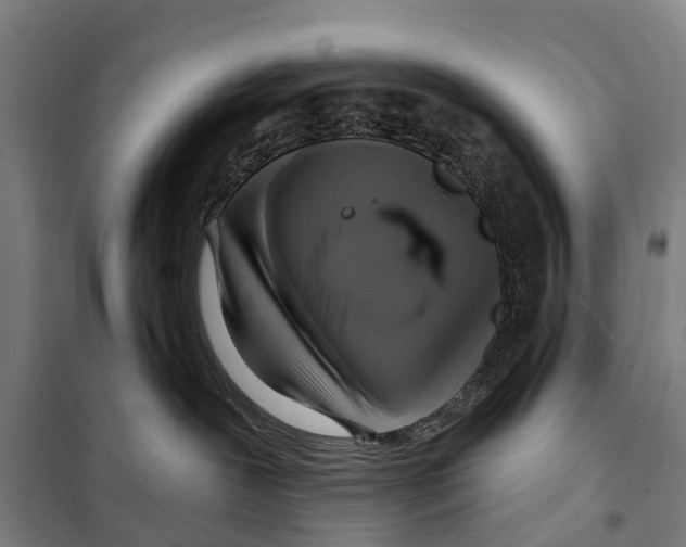 X0000097990239200804211112