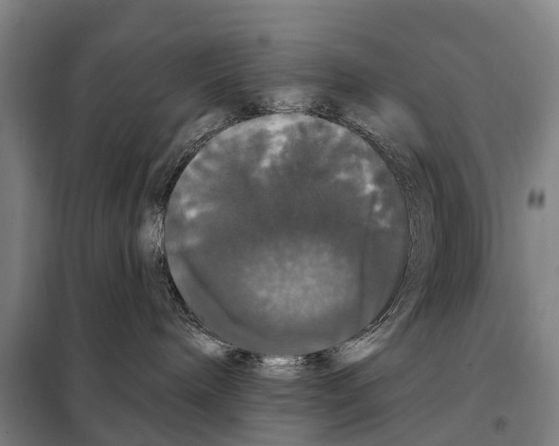 X0000097990240200804211112