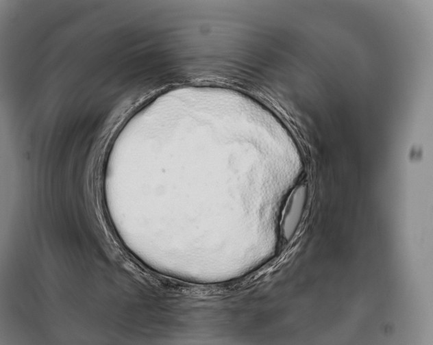 X0000097990241200804211111