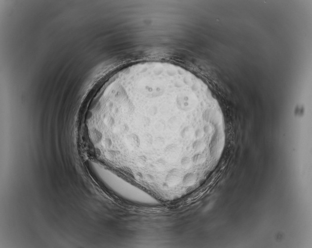 X0000097990242200804211111