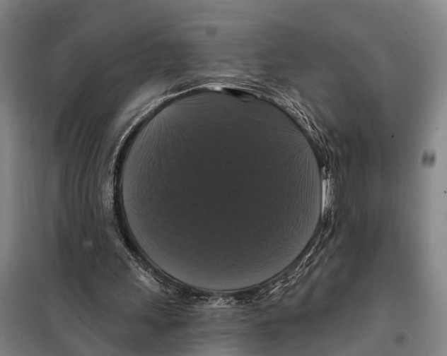 X0000097990243200804211112