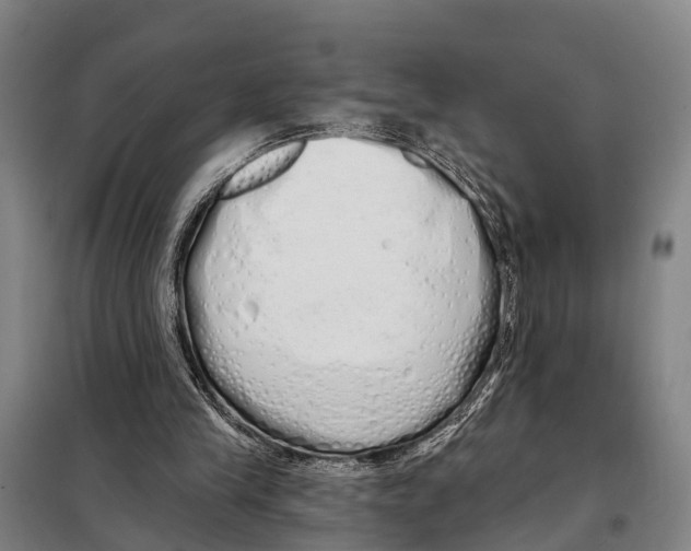 X0000097990245200804211112