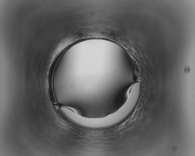 X0000097990248200804211112