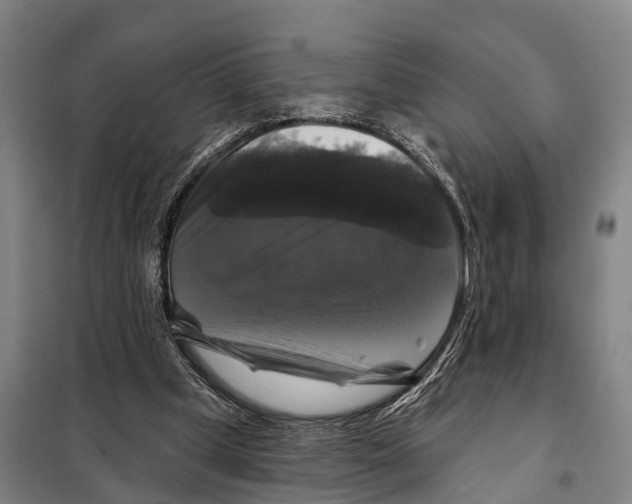 X0000097990249200804211112