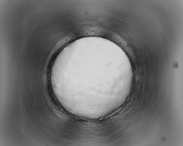 X0000097990250200804211112