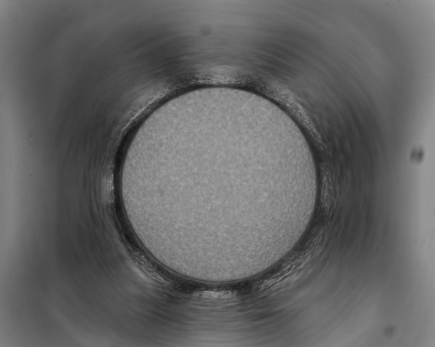 X0000097990251200804211112